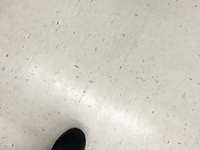 Black mold in Walmart 